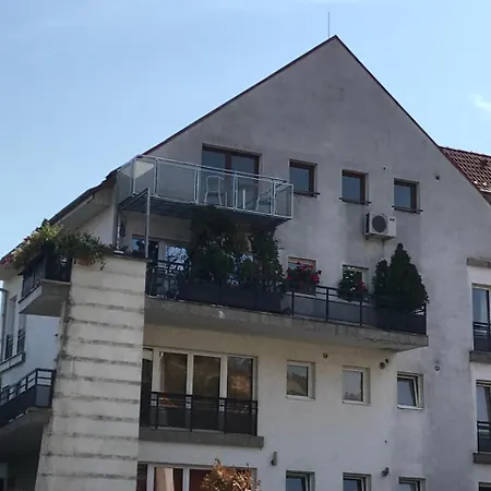 Apartment Grigorescu Lux
